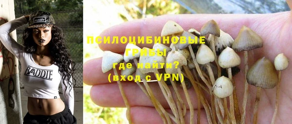 первитин Балахна