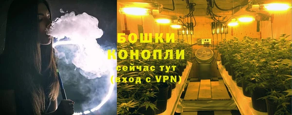 твердый Арсеньев